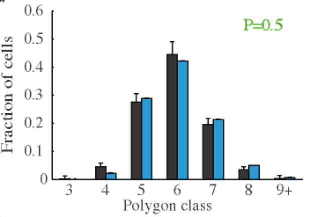 histogram cells