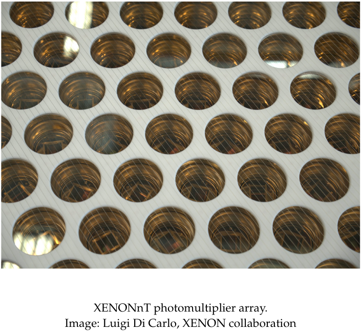 Photosensors of the LZ experiment.  (Credit: LZ collaboration)