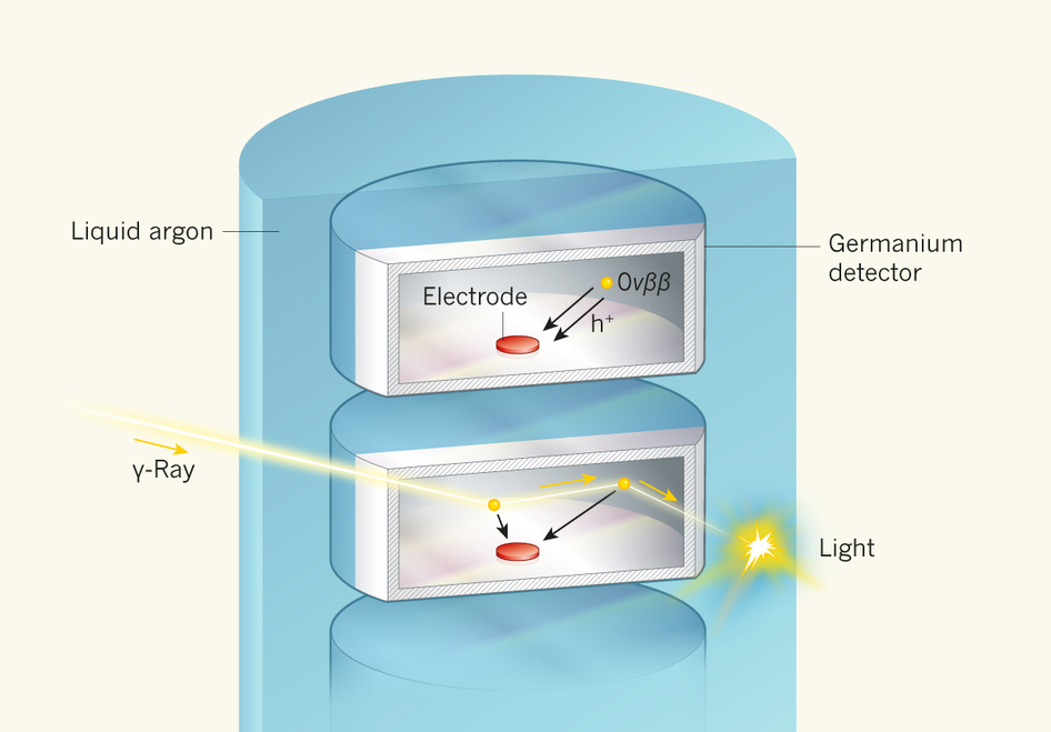 Gerda detector