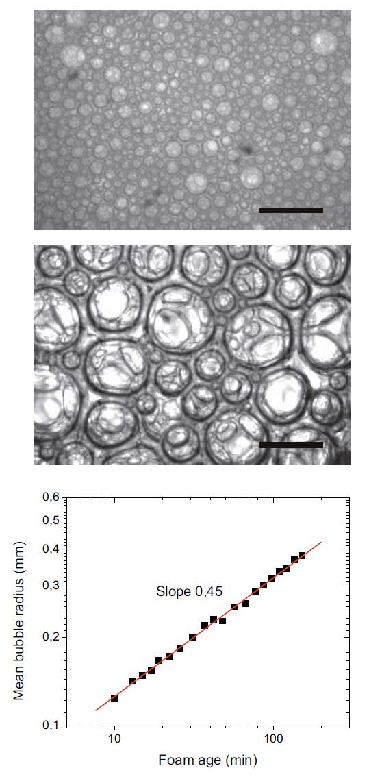 coarsening