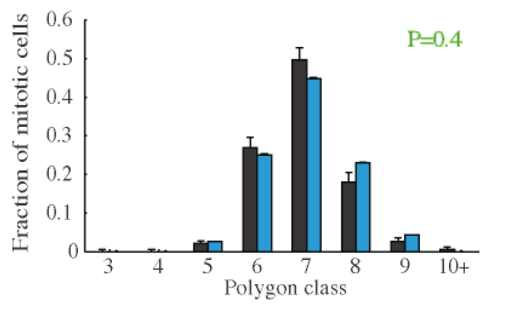 histogram mitotic cells